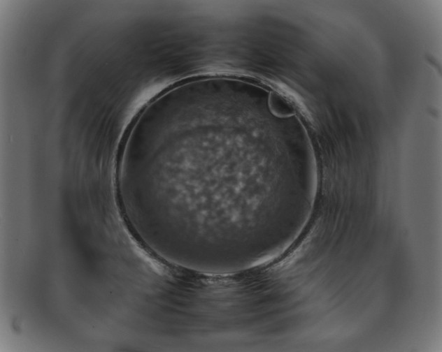 X0000092051231200709121206