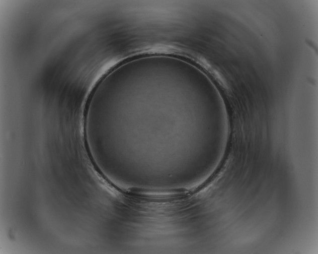 X0000092051232200709121206