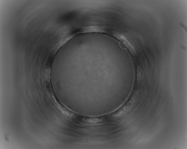 X0000092051233200709121206