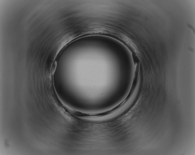 X0000092051234200709121206