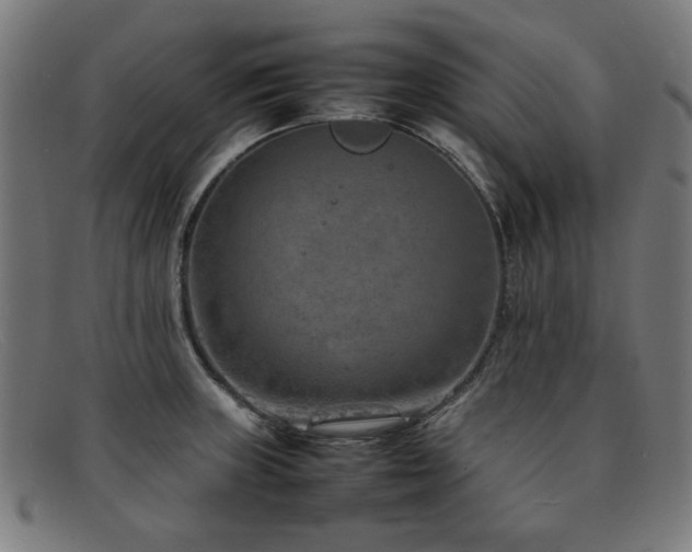 X0000092051235200709121206