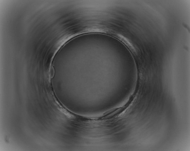 X0000092051236200709121206