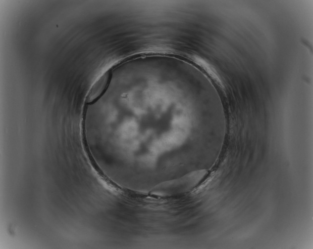 X0000092051237200709121206