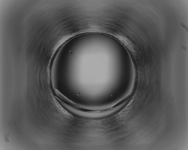 X0000092051238200709121206