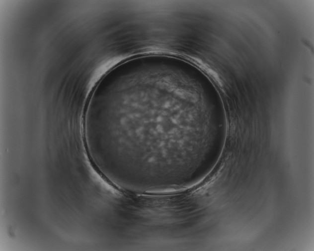 X0000092051239200709121206