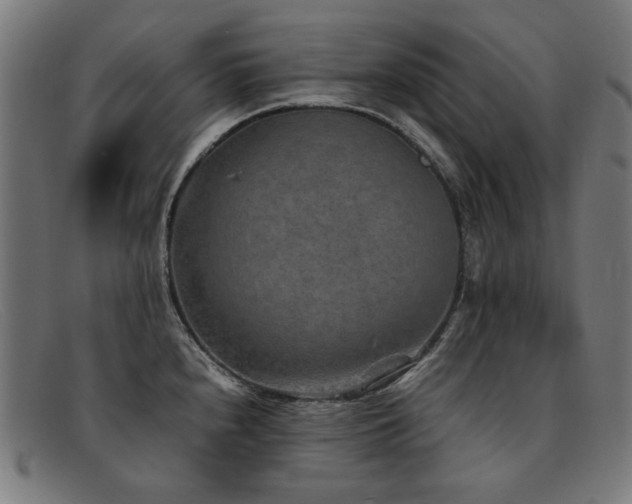 X0000092051240200709121206