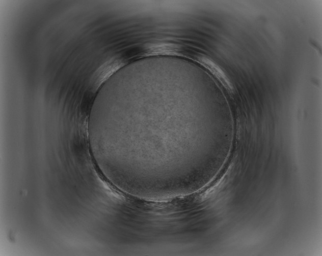 X0000092051241200709121206