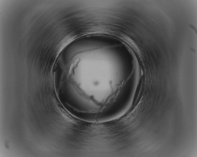 X0000092051242200709121206