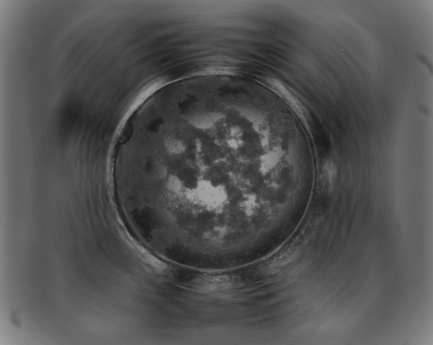 X0000092051243200709121206