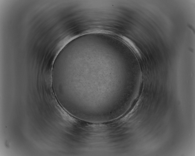 X0000092051244200709121206