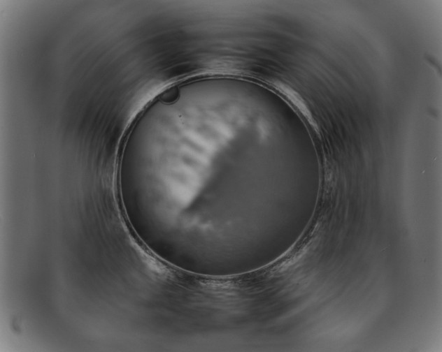 X0000092051245200709121206