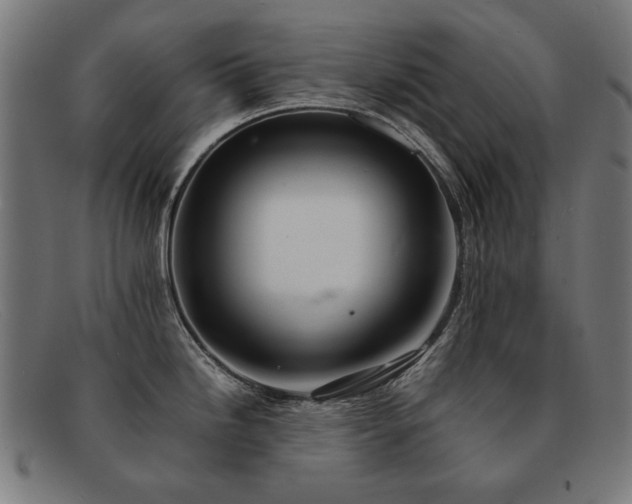 X0000092051246200709121206