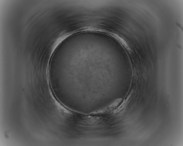 X0000092051247200709121206