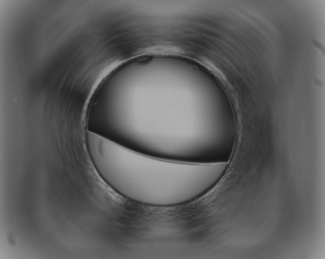 X0000092051248200709121206