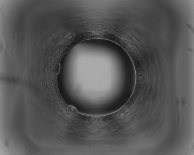 X0000092051249200709121205