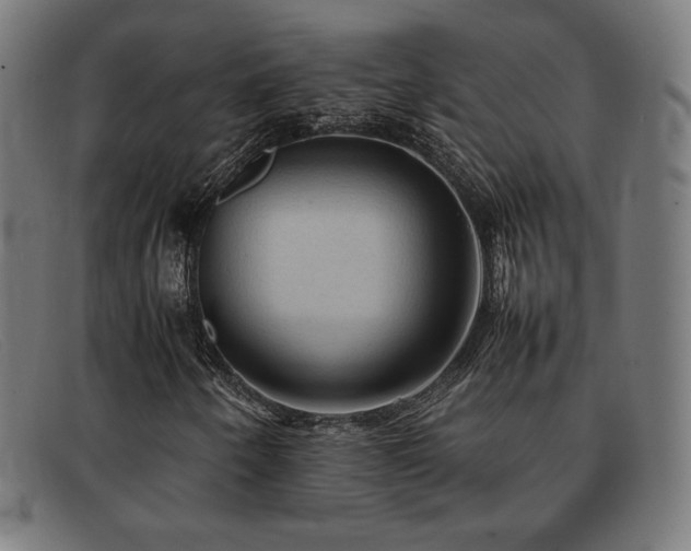 X0000092051250200709121205