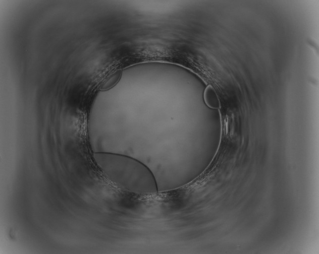 X0000092051251200709121205