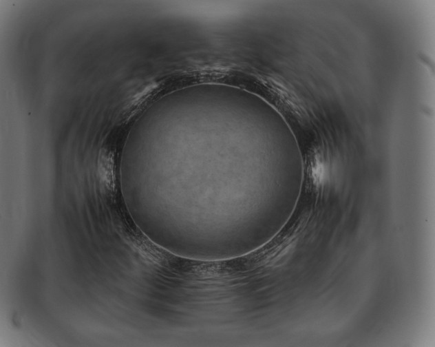 X0000092051252200709121205