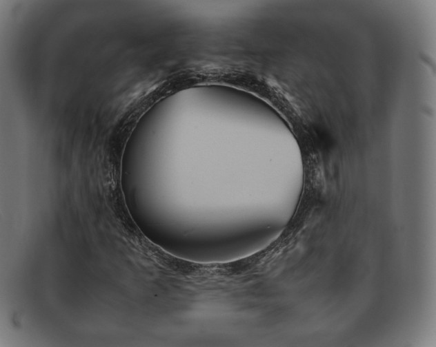 X0000092051253200709121205