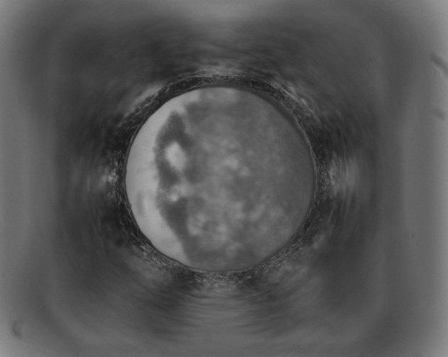 X0000092051254200709121205