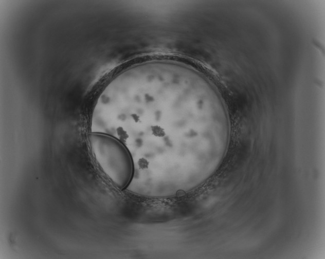 X0000092051255200709121205