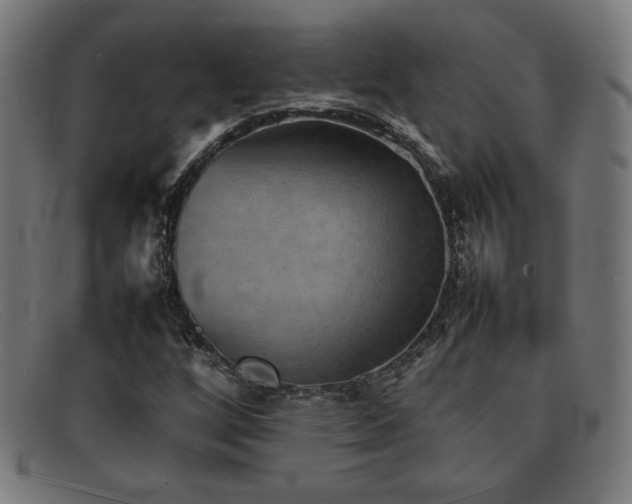 X0000092051256200709121205