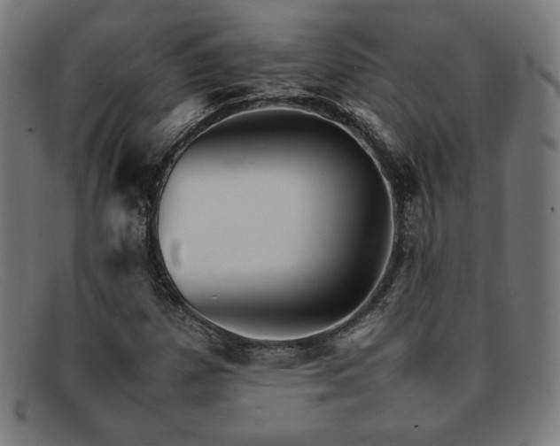 X0000092051257200709121205