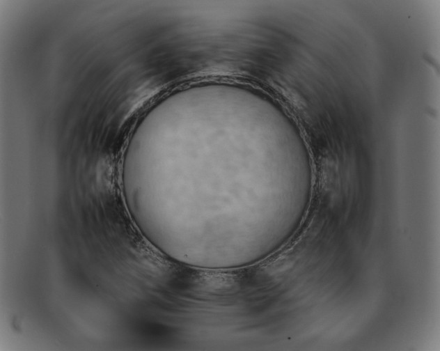 X0000092051258200709121205