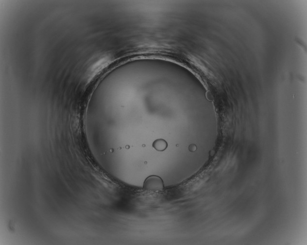 X0000092051259200709121205