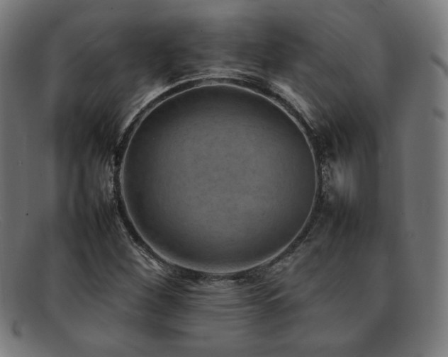 X0000092051260200709121205