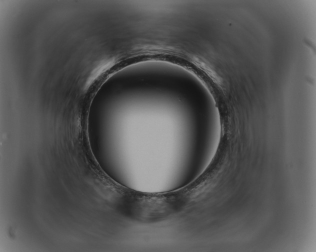 X0000092051261200709121205