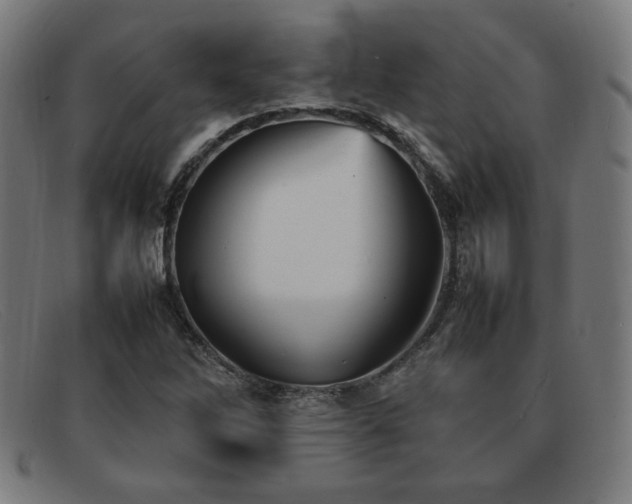 X0000092051262200709121205