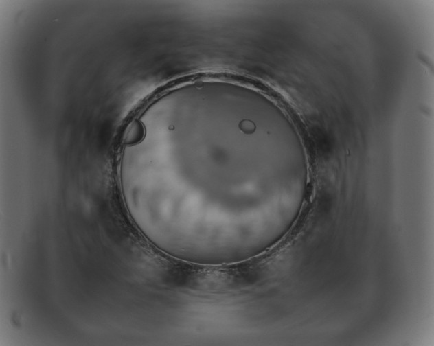 X0000092051263200709121205