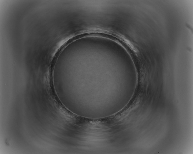 X0000092051264200709121205