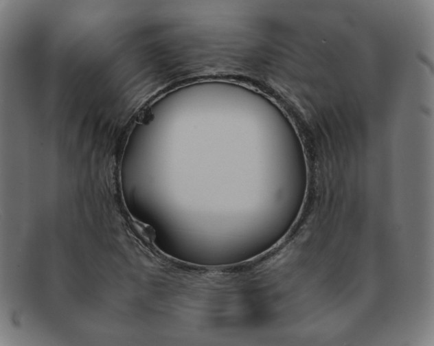 X0000092051265200709121205