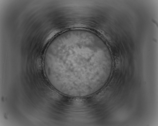 X0000092051266200709121205