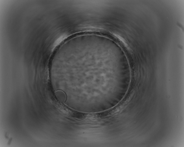 X0000092051267200709121205