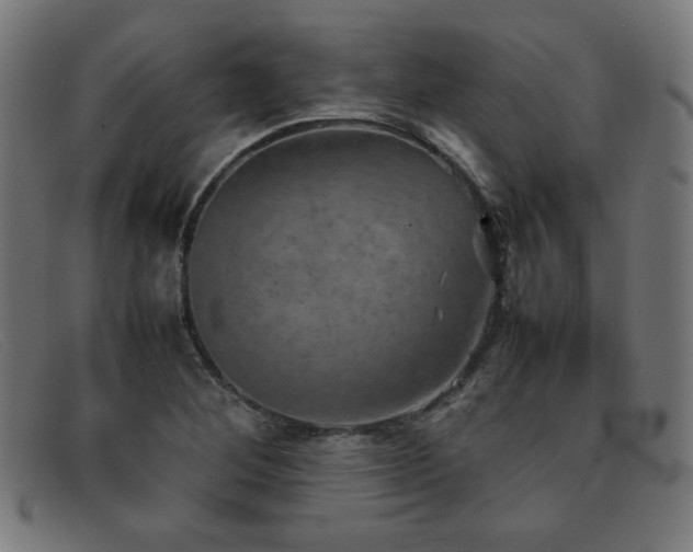 X0000092051268200709121205