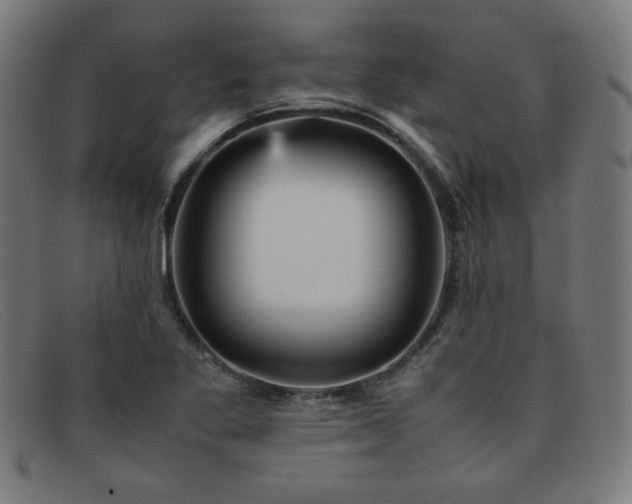 X0000092051269200709121205