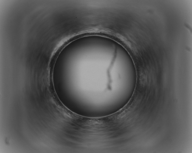 X0000092051270200709121205