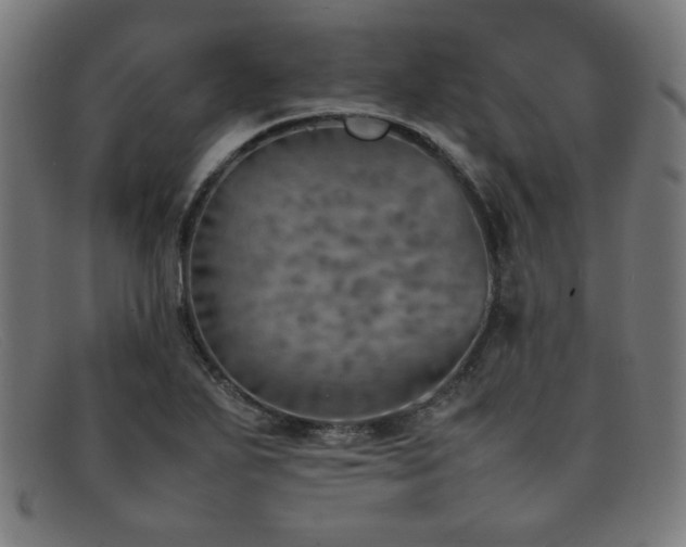 X0000092051271200709121205