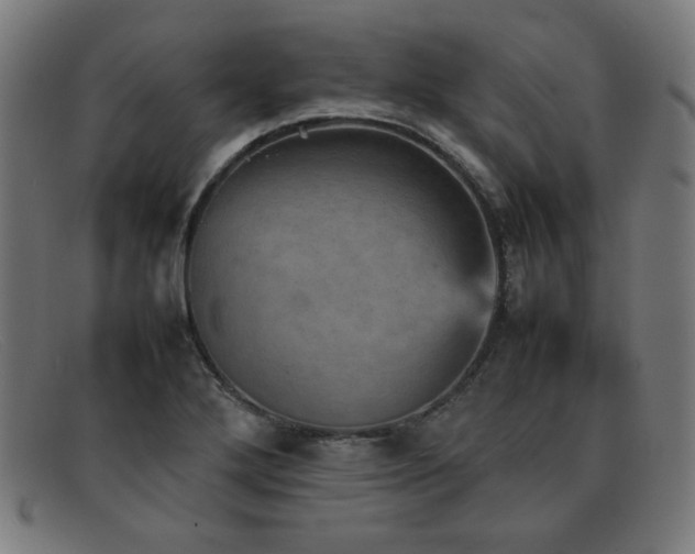 X0000092051272200709121205