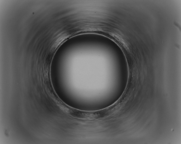 X0000092051273200709121205