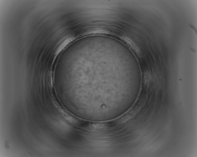 X0000092051274200709121205