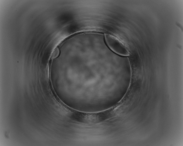 X0000092051275200709121205