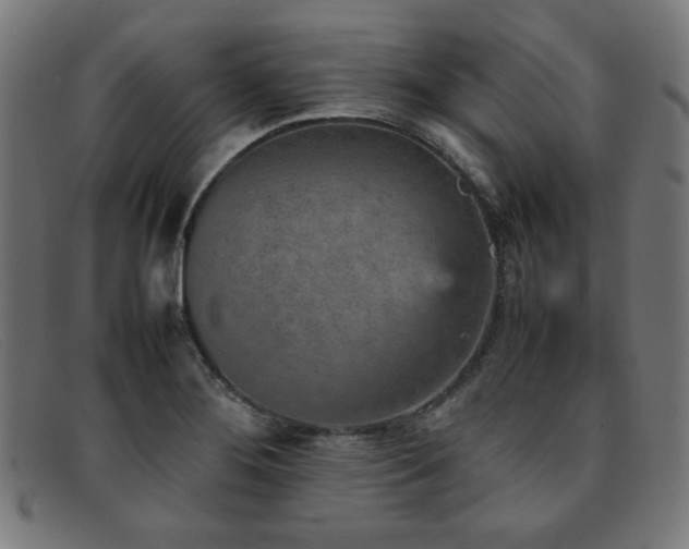 X0000092051276200709121205