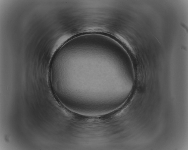 X0000092051277200709121205