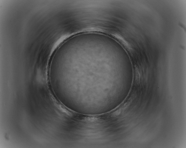 X0000092051278200709121205