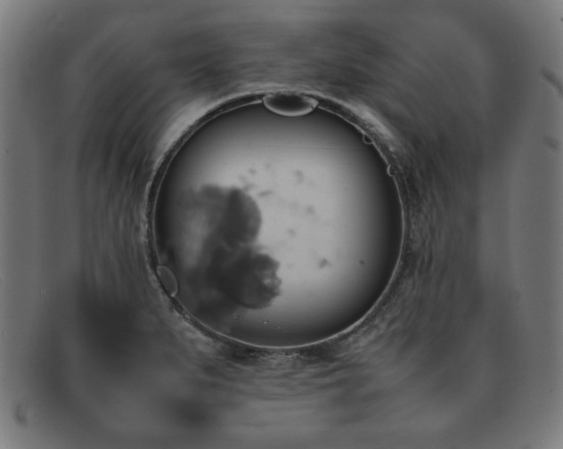 X0000092051279200709121205