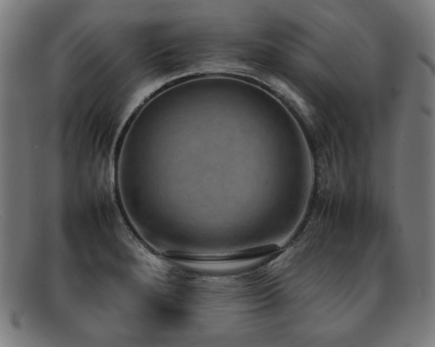 X0000092051280200709121205